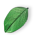 floating_leaf_01 https://natpark.app/wp-content/uploads/2025/07/floating_leaf_01.png